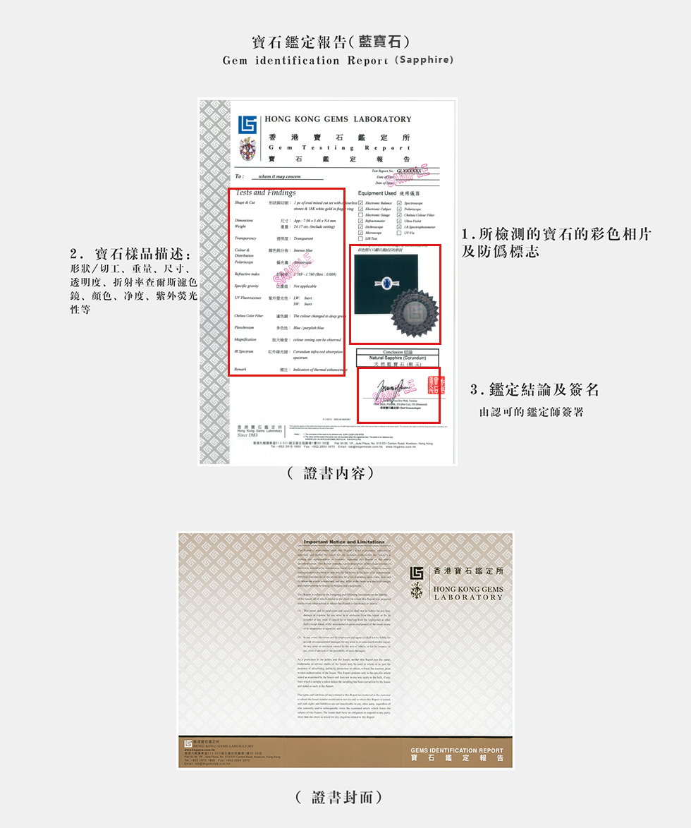 Gem Identification Report (Ruby).jpg